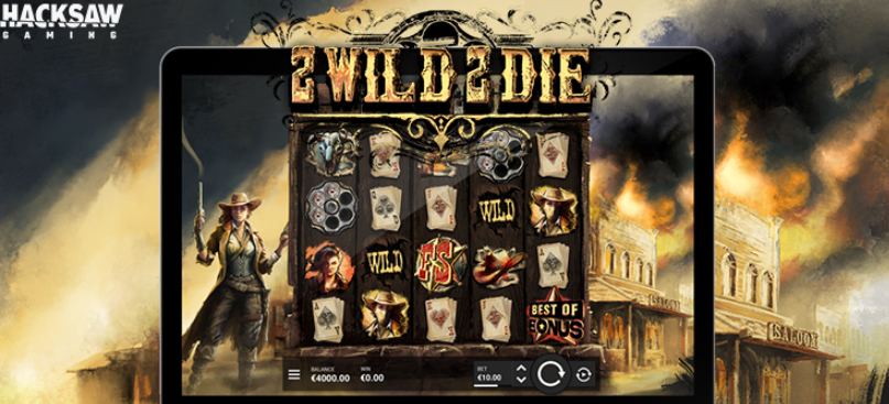 2 Wild 2 Die スロットゲーム評価