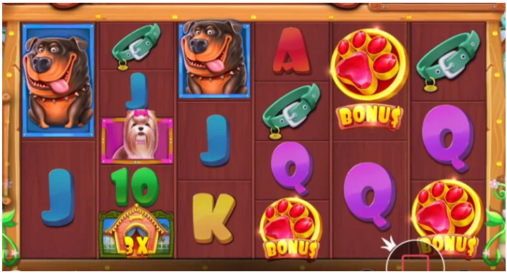 lvklaqp8.png