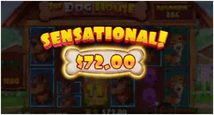 lvkl2b5e.png